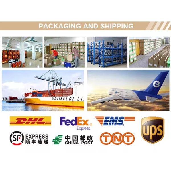 Custom logo Makeup Bag Travel Supplies toiletry pouch Lipstick Storage pouch Earphone Jewelry Leaf Spring Bag Mini Cosmetic Bag womens handbag