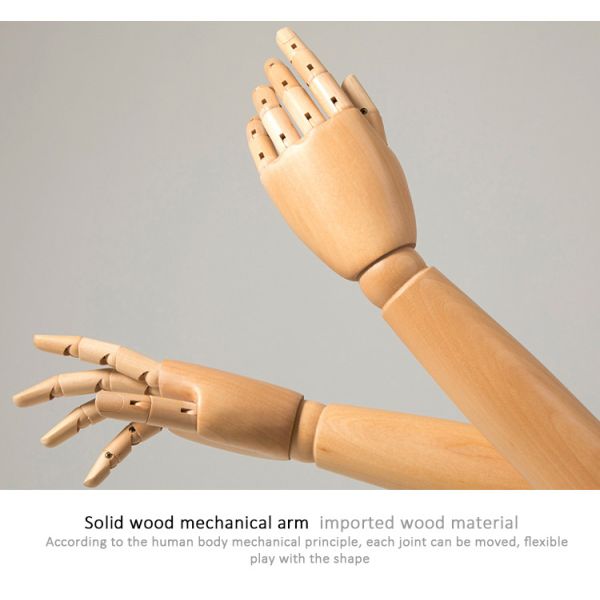 Fashion Female Display Mannequins Cheap Cheap Foam Tailor Torso Half Body Mannequin with Base Women Style Stand Material Adults