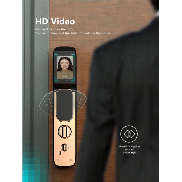 Face Recognition Fingerprint Door Lock Gold Biometric Gate Lock