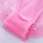 Low Price Sexy Lace Transparent Ladies Underwear Panties