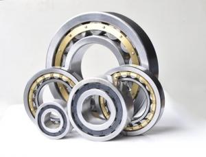 Wholesale Double Row Chrome Steel Bearings Open Seals Gearbox Bearing NJ2320 from china suppliers