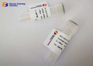 Wholesale Customized NSE Mouse Monoclonal Antibodies at -20 °C Storage Temperature from china suppliers