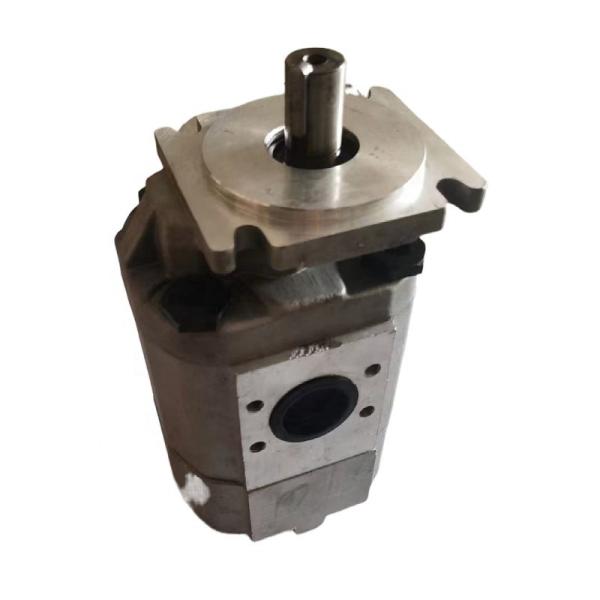 Guarantee Excavator Hydraulic Gear Pump CBKP32/40/50/63/80/100 For Heavy Duty