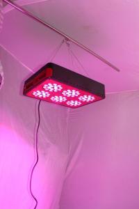 Wholesale 270watt for for Greenhouse, Hydroponics,Indoor Garden CIDLY LED 6 full spectrum led grow from china suppliers