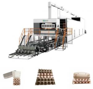 China Customized Egg Tray Molding Machine Fully Automatic With Recycled Paper on sale