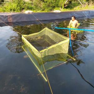 Wholesale Direct 0.5mm Eco-Friendly HDPE Plastic Geomembrane for Fish Pond Roll Length 50-200m from china suppliers
