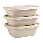 Disposable Party Dinnerware Take Away Salad Box 850ml 1100ml 1300ml Sugarcane