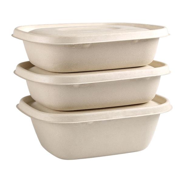 Disposable Party Dinnerware Take Away Salad Box 850ml 1100ml 1300ml Sugarcane