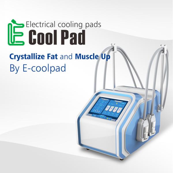 Cryolipolysis EMS Machine CRYO Beauty Salon Euqipment for Weilght Loss With 4