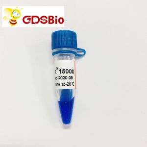 Wholesale LD DS 15000bp 15kb DNA Marker Electrophoresis 50 Preps from china suppliers