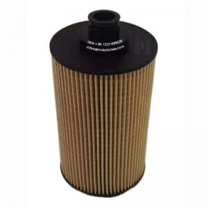 China Excellent Chinese Manufacturer wholesale oil filter 13055724 for diesel engine on sale