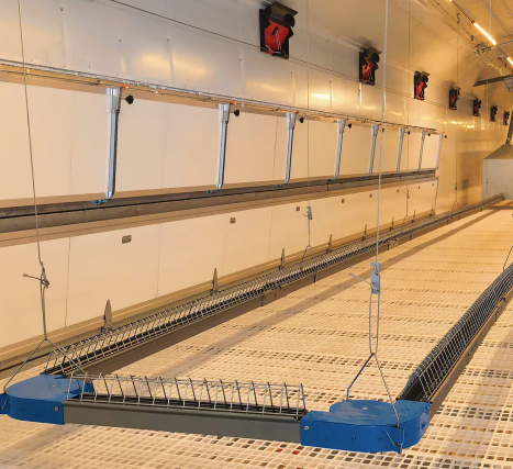 Galvanized Steel Adjustable Height Corrosion Resistant Poultry Feeding System for Broilers