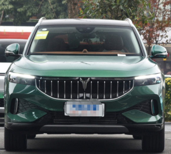 VOYAH FREE 2023 4WD super long battery life extended version 5 Door 5 seats SUV