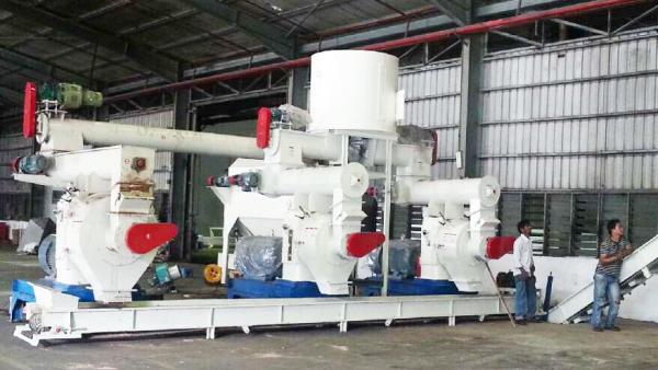 Russia Wood Pellet Production Line Complete 3-4t/h Biomass Fuel Wood Shaving