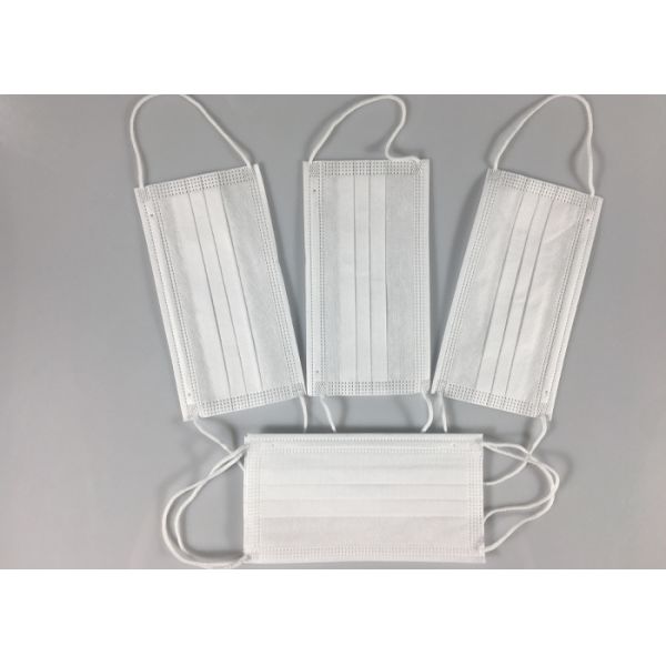 Daily Protection FDA Nonwoven Triple Layer Earloop Face Mask