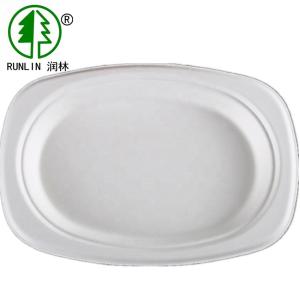 Wholesale 25g White Biodegradable Bagasse Tableware 20g Oval Dish Plate from china suppliers