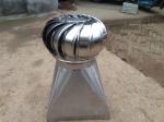 200mm Roof Top Leaf Blower Fan