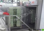Stainless Steel Chamber Vacuum Cooling Equipment For Cooked Foods / Rice / Bread