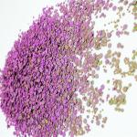 Chameleon Color Changing Glitter for Eye Face Crafts Nails Mix of Chunky Color