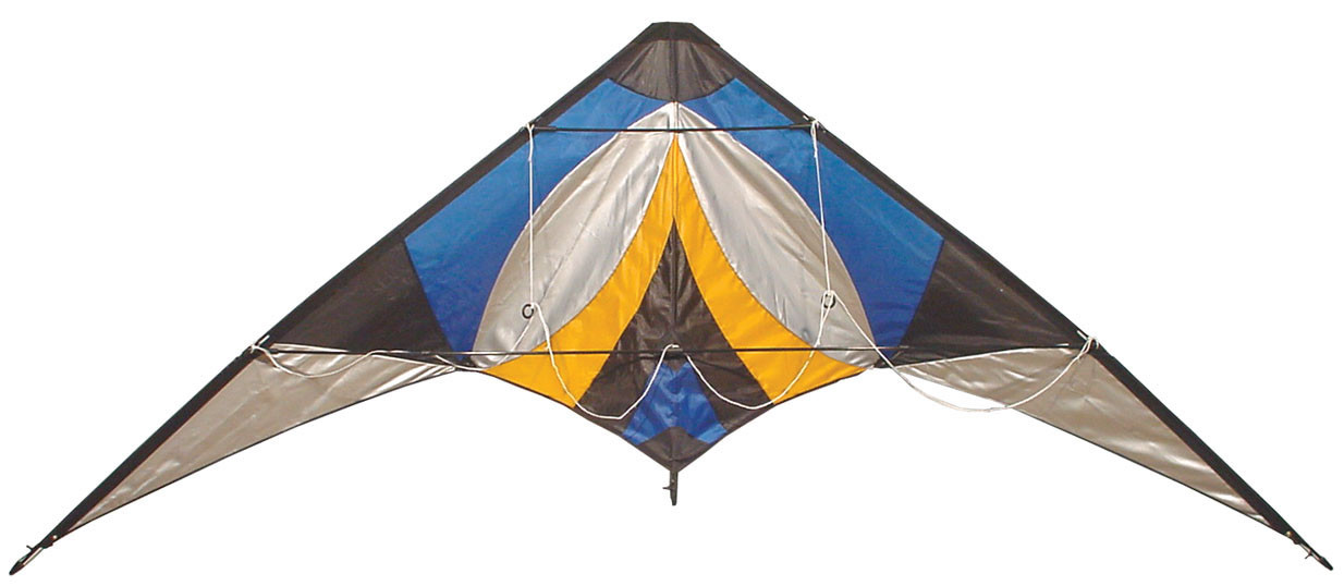 Dual Line Type Delta Stunt Kite For Spring Season Easy Control Customized Color