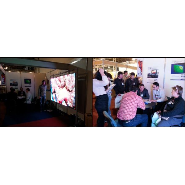 Intelligent Street Lamp Post LED Advertising Screen Wifi 3G 4G Supported