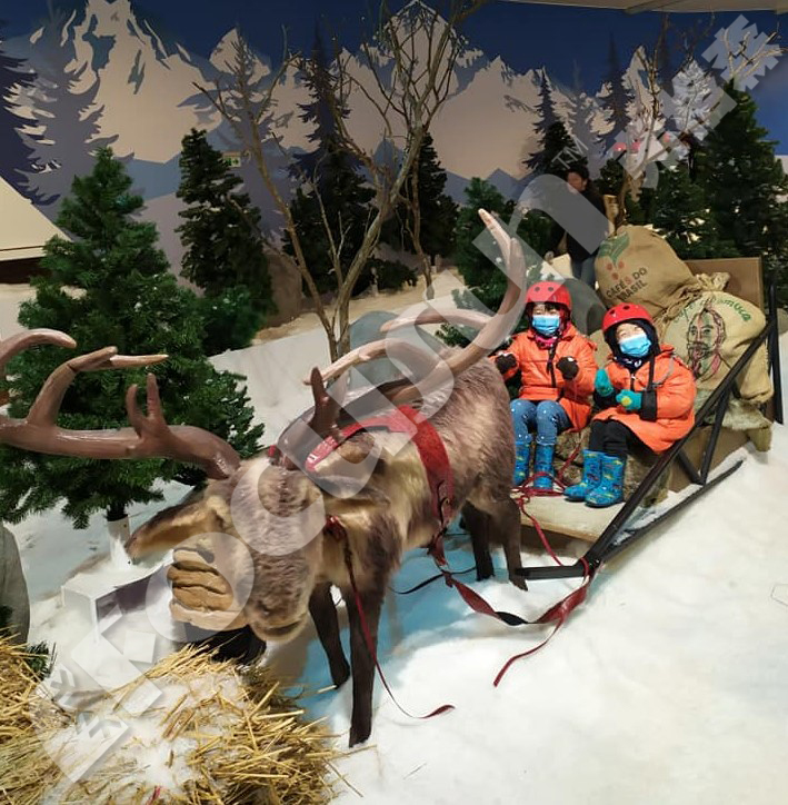 Christmas Snow Maker On-site Maintenance and Easy Operation for Winter Wonderland