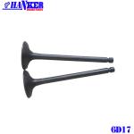 6D17 Intake Valve Exhaust Valve