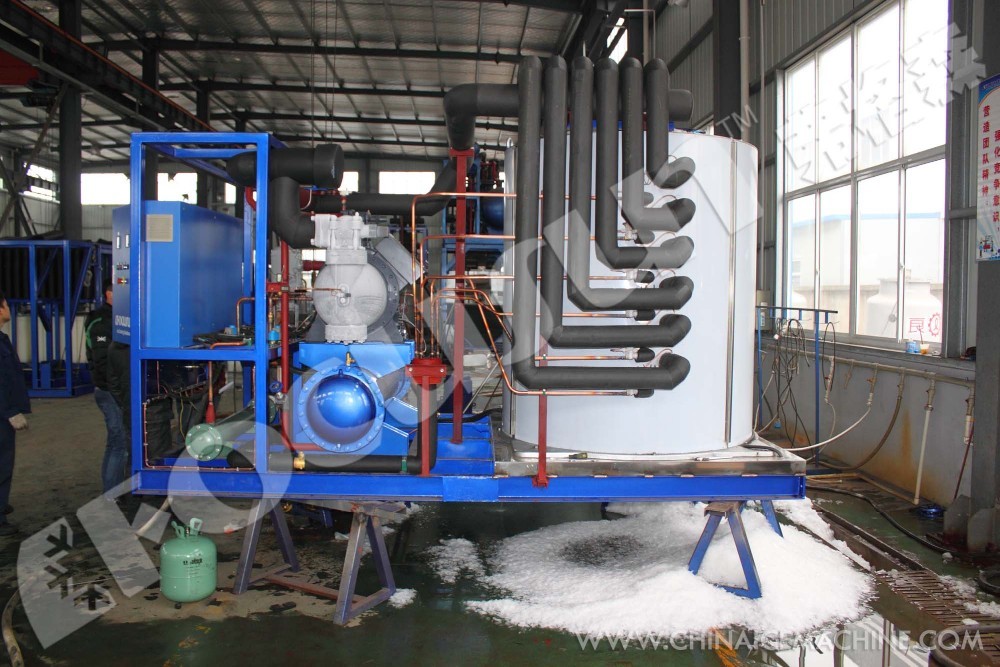 Motor-driven 10 ton FIB-WHB Brine Cooling Block Ice Machine for Water-Cooling System
