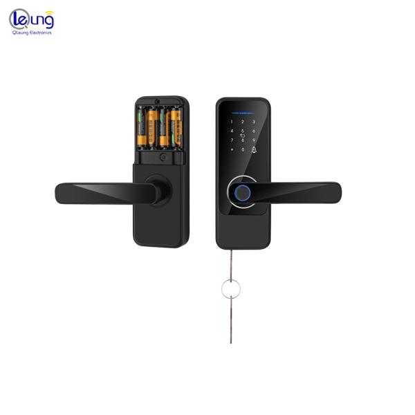 Alkaline Battery Electric Door Lock Fingerprint Aluminum Alloy Smart Locks For