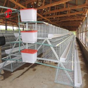 Wholesale 120 Birds 200 Birds Capacity Poultry Battery Cage System For Layers Broilers Chicks Star from china suppliers