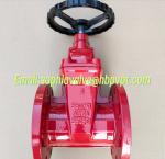 AWWA 250PSI flanged gate valve