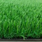 20mm Pile Pet Turf Grass For Roof Covering Hotel Outdoor Tile Flooring