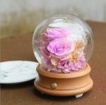 Wholesale Rose Preserved Flower in Glass Dome Flower for Valentines Day rose