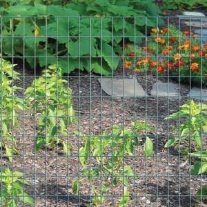 Wholesale Square Hole Galvanized 1.2x30m Welded Iron Mesh from china suppliers