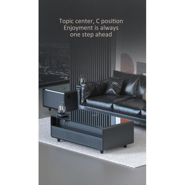 Multifunctional Refrigerator with Refrigerated Drawer Cabinet Coffee Table Fridge