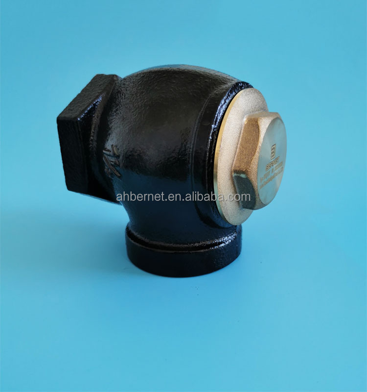 Custom Gasoline Fuel Dispenser Spare Parts Non Return Check Valve