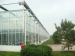 Exquisite Aluminum Frame Glass Greenhouse Gutter Height 3.0m-6.0m Easy Assemble