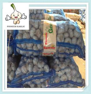Wholesale Chinese Fresh Pure White Garlic 6.0 cm China Chinese garlic from china suppliers
