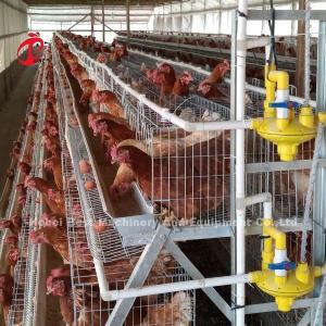 Wholesale 4 Tiers Hens Battery Cage Price In Nigeria , 5 Doors Chicken Layer Cage Rose from china suppliers