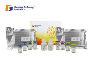 Wholesale LPL Sandwich Immunosorbent Assay Kit High Sensitivity 48 Wells For Research from china suppliers