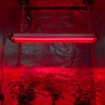 45w Veg LED Grow Light For Strawberry Lettuce Tomato Samsung T5 T8 Bar