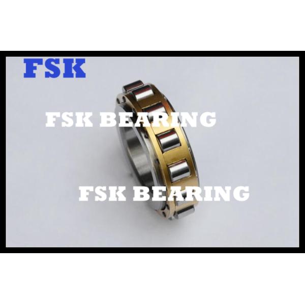 No Outer Ring RN206M Eccentric Cylindrical Bearings Catalog for Reducer Brass Cage