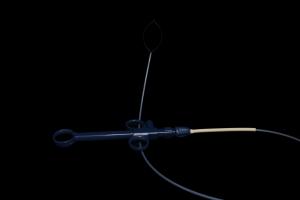 Wholesale Medical Devices Sterilized Flexible Acusnare Polypectomy Snare CE Approval from china suppliers