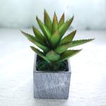 Indoor Decor Artificial Succulent Plant No Nursing Evergreen Four Seasons 50cm