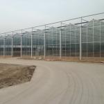 24 X 24 24 X 18 20x30 Venlo Custom Glass Greenhouse Cover Sides Polycarbonate