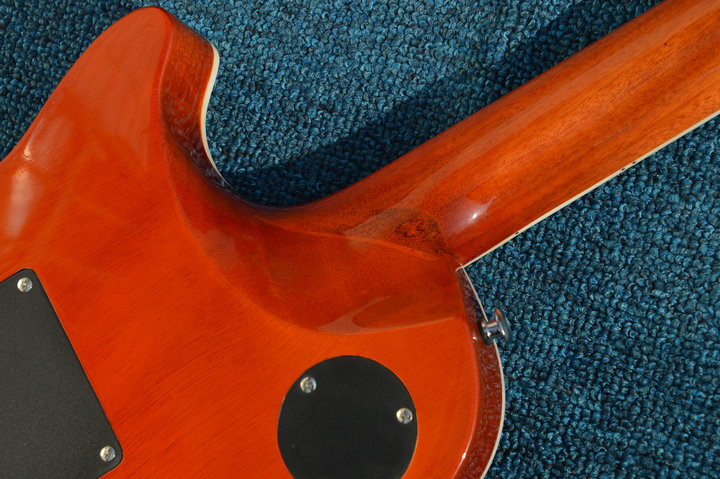 FLOYED ROSE cool LP free shopping custom-made electric guitar ebony fretboard mahogany body and neck