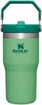 IceFlow Stainless Steel Tumbler with Straw, Vacuum Insulated Water Bottle for