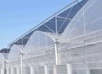 Economical Multi Span Greenhouse / Galvanized Steel Greenhouse High Wind