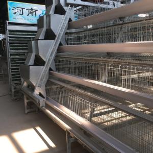Wholesale Automatic Egg Layer Chicken Cage Poultry Equipment For South Africa Farm from china suppliers
