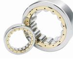 NF ECT Single Row Roller Bearing OEM Customized Electric Motor Bearing